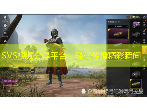 SVS視頻分享平臺：輕松傳播精彩瞬間