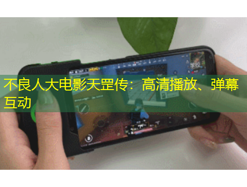 不良人大電影天罡?jìng)鳎焊咔宀シ?、彈幕互?dòng)