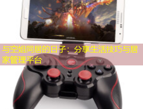 與空姐同居的日子：分享生活技巧與居家管理平臺(tái)