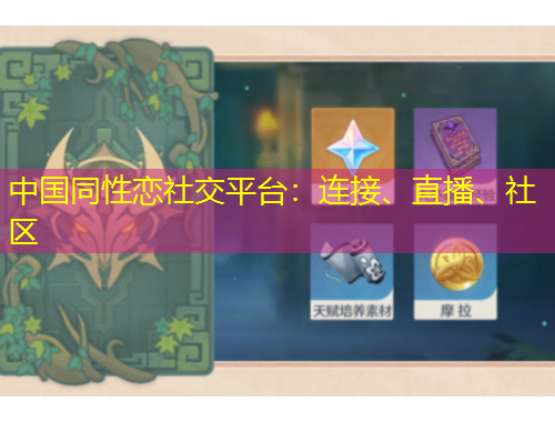 中國(guó)同性戀社交平臺(tái)：連接、直播、社區(qū)