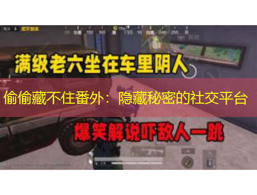 偷偷藏不住番外：隱藏秘密的社交平臺