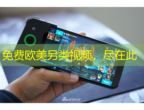 免費歐美另類視頻，盡在此