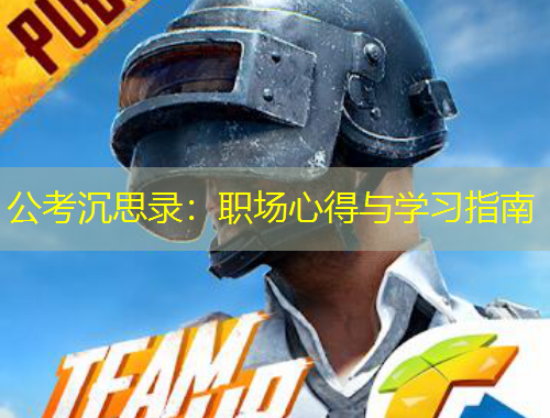 公考沉思錄：職場心得與學(xué)習(xí)指南