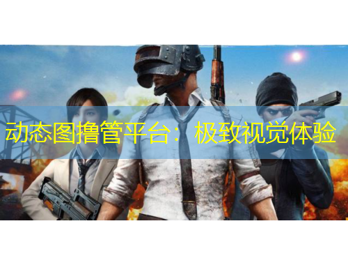 動(dòng)態(tài)圖擼管平臺(tái)：極致視覺體驗(yàn)