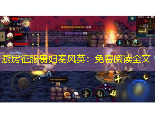 廚房征服貴婦秦風(fēng)英：免費(fèi)閱讀全文