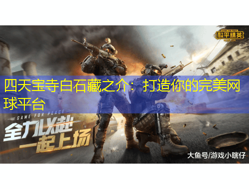 四天寶寺白石藏之介：打造你的完美網(wǎng)球平臺