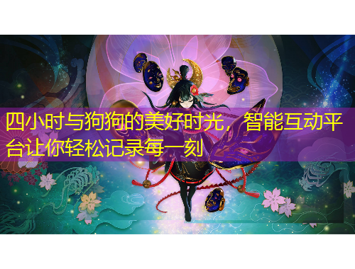 四小時(shí)與狗狗的美好時(shí)光，智能互動(dòng)平臺(tái)讓你輕松記錄每一刻