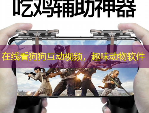 在線看狗狗互動視頻，趣味動物軟件
