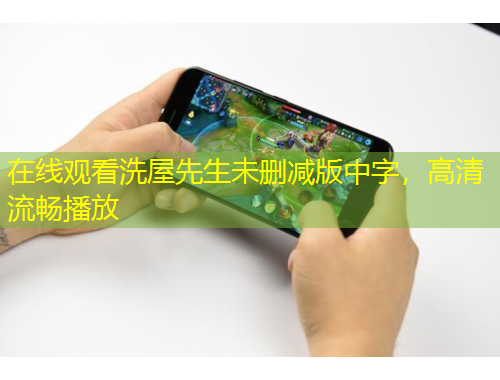 在線觀看洗屋先生未刪減版中字，高清流暢播放