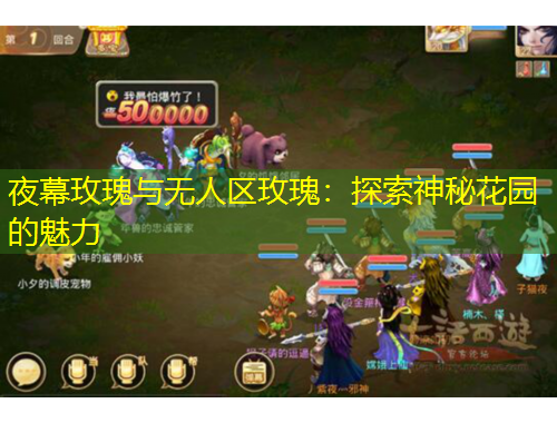 夜幕玫瑰與無人區(qū)玫瑰：探索神秘花園的魅力