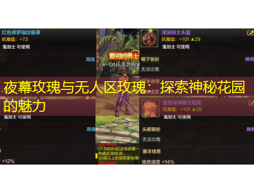 夜幕玫瑰與無人區(qū)玫瑰：探索神秘花園的魅力