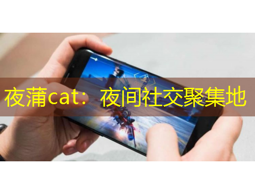 夜蒲cat：夜間社交聚集地