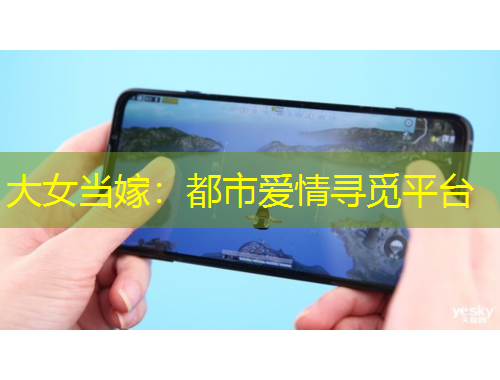 大女當(dāng)嫁：都市愛情尋覓平臺(tái)