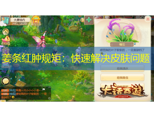 姜條紅腫規(guī)矩：快速解決皮膚問題