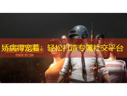 嬌病得寵著：輕松打造專屬社交平臺