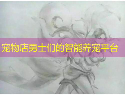 寵物店男士們的智能養(yǎng)寵平臺