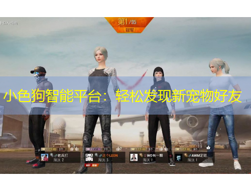 小色狗智能平臺(tái)：輕松發(fā)現(xiàn)新寵物好友