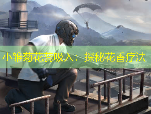 小雛菊花蕊吸入：探秘花香療法