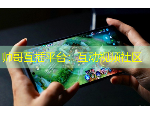 帥哥互插平臺：互動視頻社區(qū)