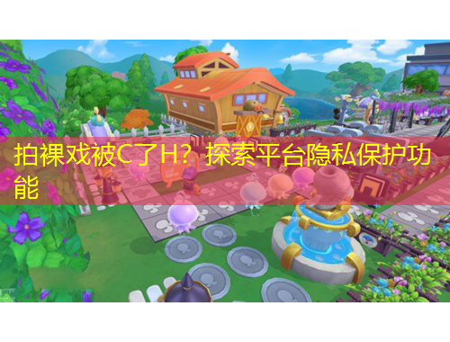 拍裸戲被C了H？探索平臺隱私保護(hù)功能