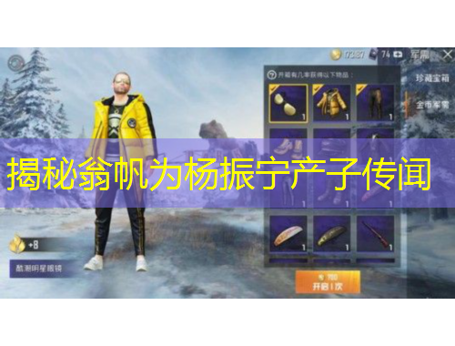 揭秘翁帆為楊振寧產(chǎn)子傳聞