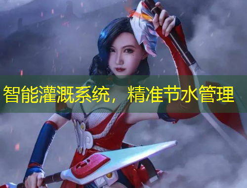 智能灌溉系統(tǒng)，精準(zhǔn)節(jié)水管理