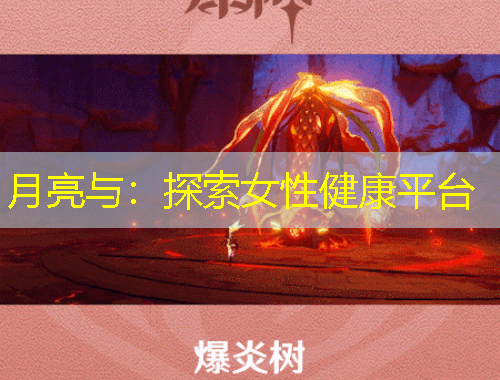 月亮與：探索女性健康平臺(tái)