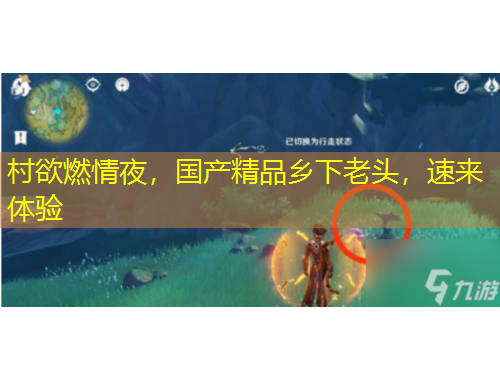 村欲燃情夜，國(guó)產(chǎn)精品鄉(xiāng)下老頭，速來體驗(yàn)