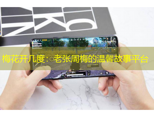 梅花開幾度：老張周梅的溫馨故事平臺