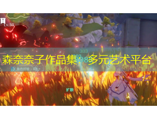 森奈奈子作品集：多元藝術(shù)平臺