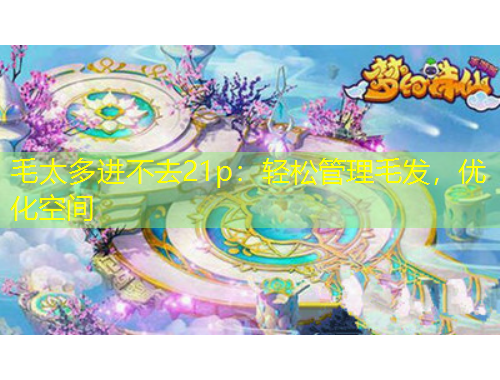 毛太多進(jìn)不去21p：輕松管理毛發(fā)，優(yōu)化空間