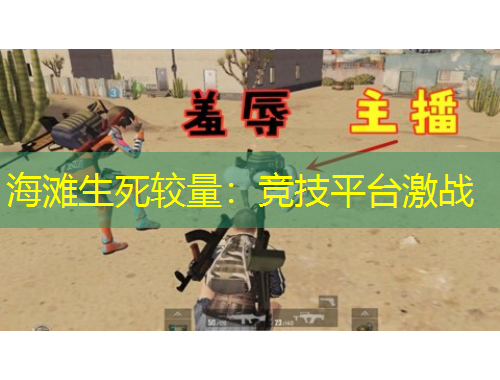 海灘生死較量：競技平臺激戰(zhàn)
