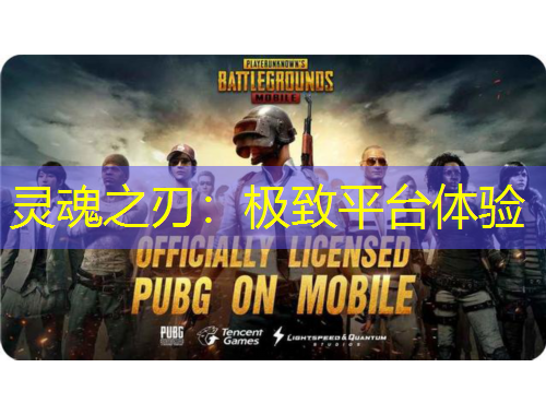 靈魂之刃：極致平臺體驗