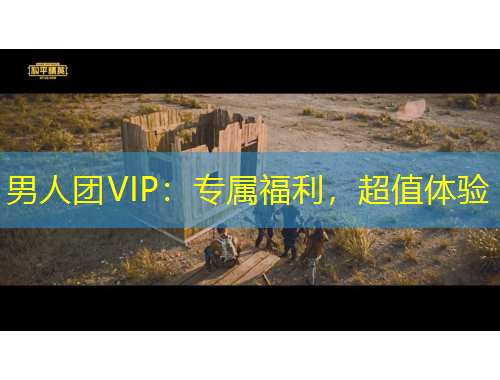 男人團(tuán)VIP：專屬福利，超值體驗(yàn)