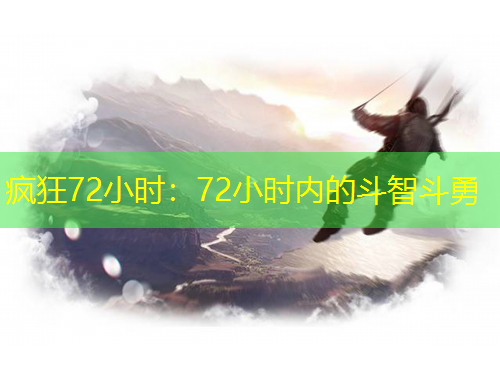 瘋狂72小時：72小時內(nèi)的斗智斗勇