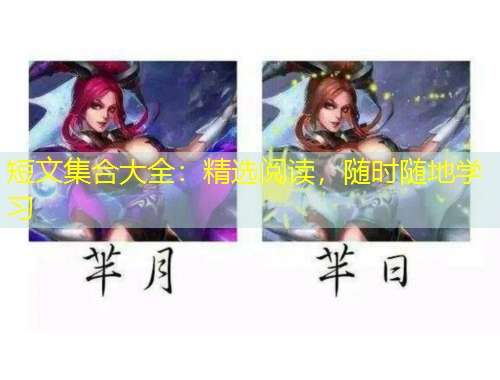 短文集合大全：精選閱讀，隨時(shí)隨地學(xué)習(xí)