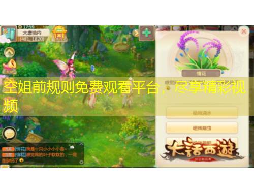 空姐前規(guī)則免費(fèi)觀看平臺(tái)，盡享精彩視頻