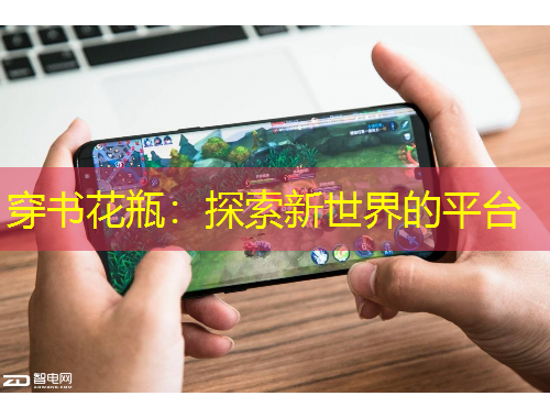 穿書(shū)花瓶：探索新世界的平臺(tái)