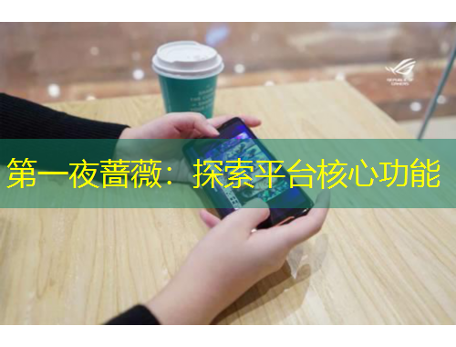 第一夜薔薇：探索平臺(tái)核心功能