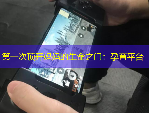 第一次頂開(kāi)媽媽的生命之門：孕育平臺(tái)