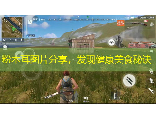 粉木耳圖片分享，發(fā)現(xiàn)健康美食秘訣