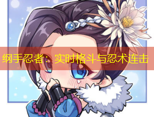 綱手忍者：實(shí)時(shí)格斗與忍術(shù)連擊