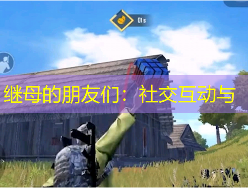 繼母的朋友們：社交互動(dòng)與