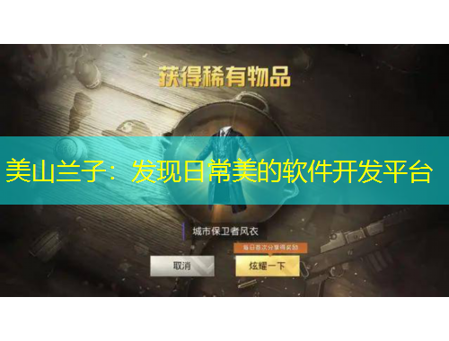 美山蘭子：發(fā)現(xiàn)日常美的軟件開發(fā)平臺