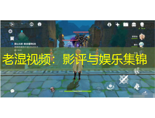 老濕視頻：影評與娛樂集錦