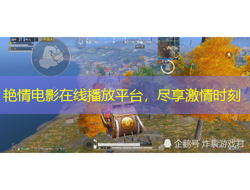 艷情電影在線播放平臺，盡享激情時刻