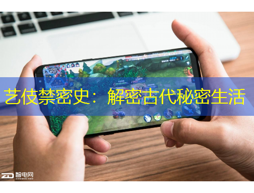 藝伎禁密史：解密古代秘密生活