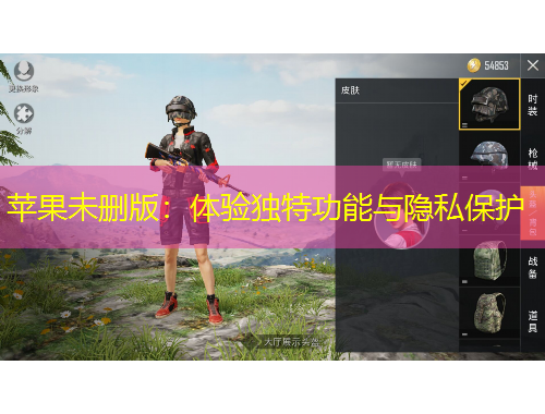 蘋果未刪版：體驗(yàn)獨(dú)特功能與隱私保護(hù)