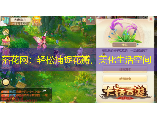 落花網(wǎng)：輕松捕捉花瓣，美化生活空間