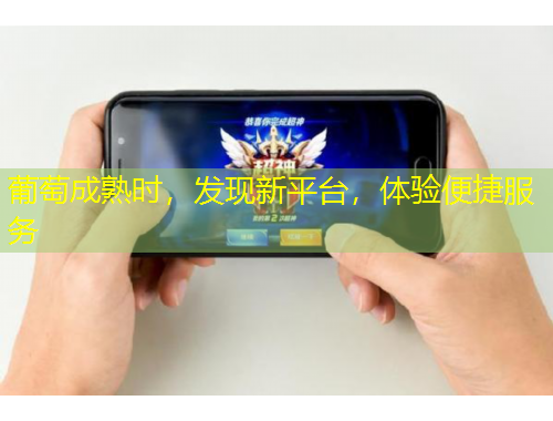 葡萄成熟時(shí)，發(fā)現(xiàn)新平臺(tái)，體驗(yàn)便捷服務(wù)